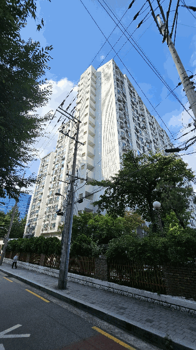 사진 11
