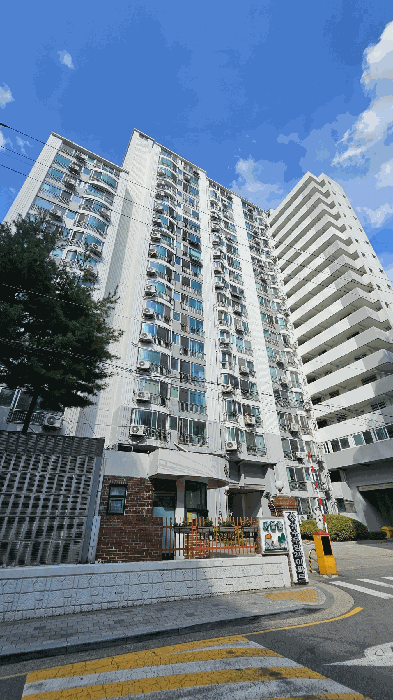 사진 12