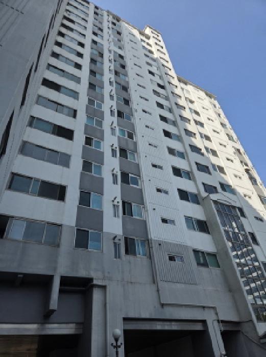 사진 3