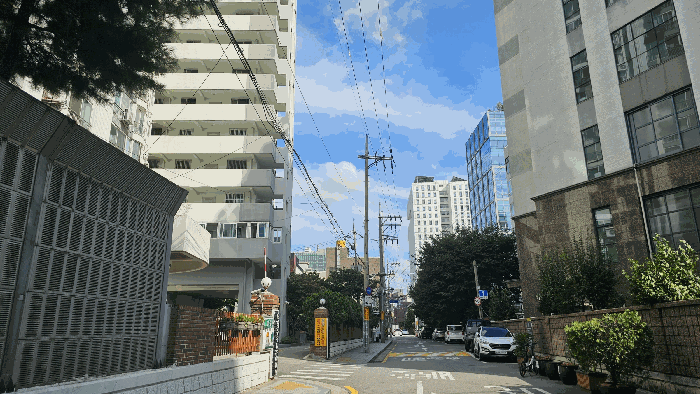 사진 7