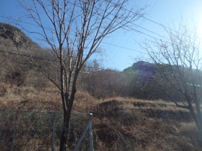사진 1