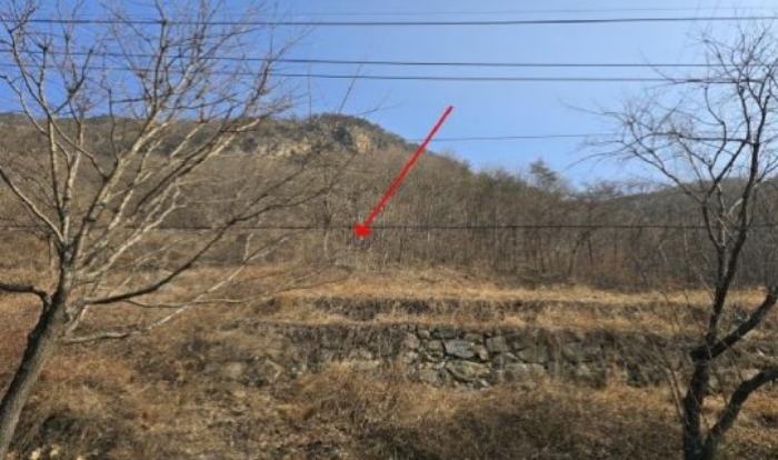 사진 11
