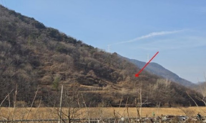 사진 15