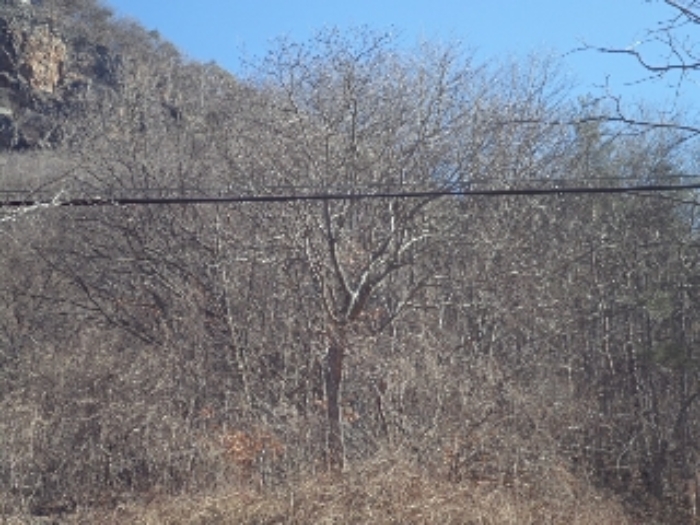 사진 3