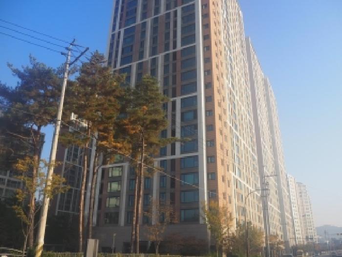사진 2