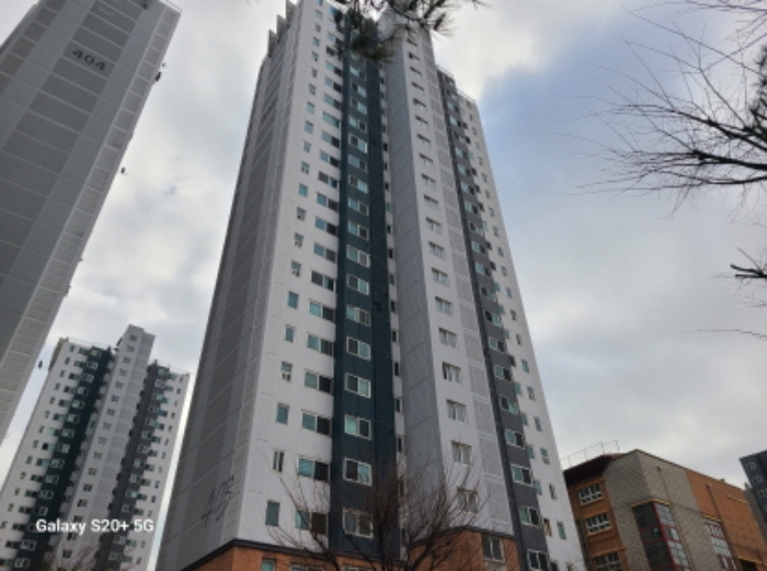 사진 11