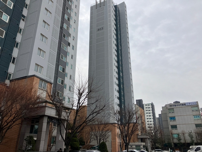 사진 8