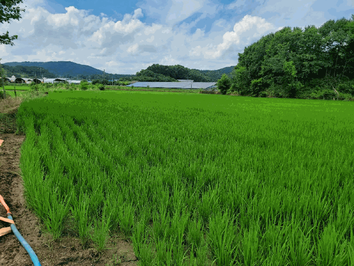 사진 16