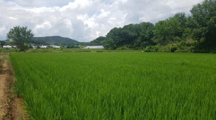 사진 2
