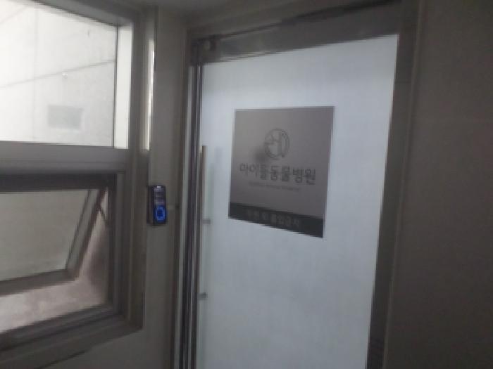 사진 11