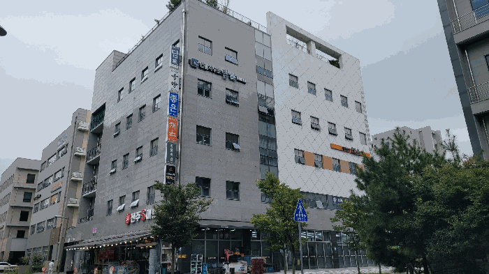 사진 15