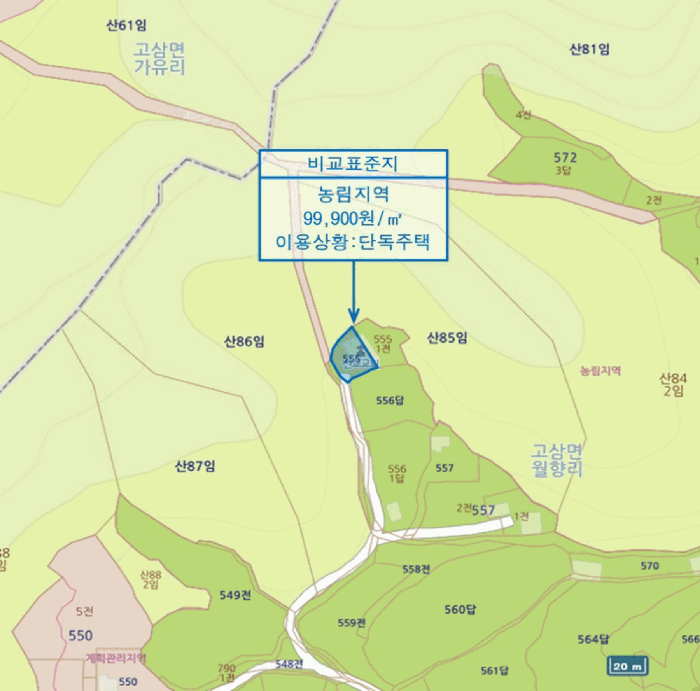 사진 19