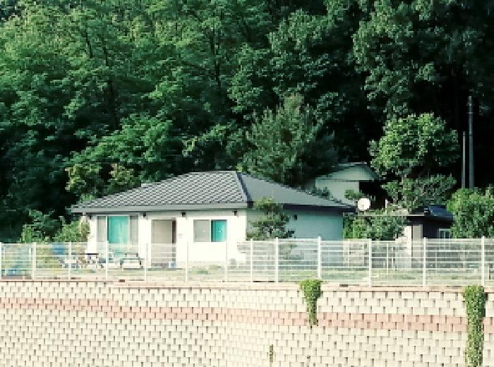 사진 7