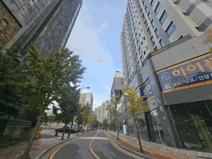 사진 12