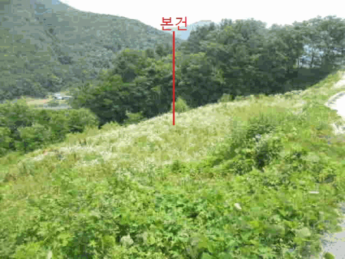 사진 14