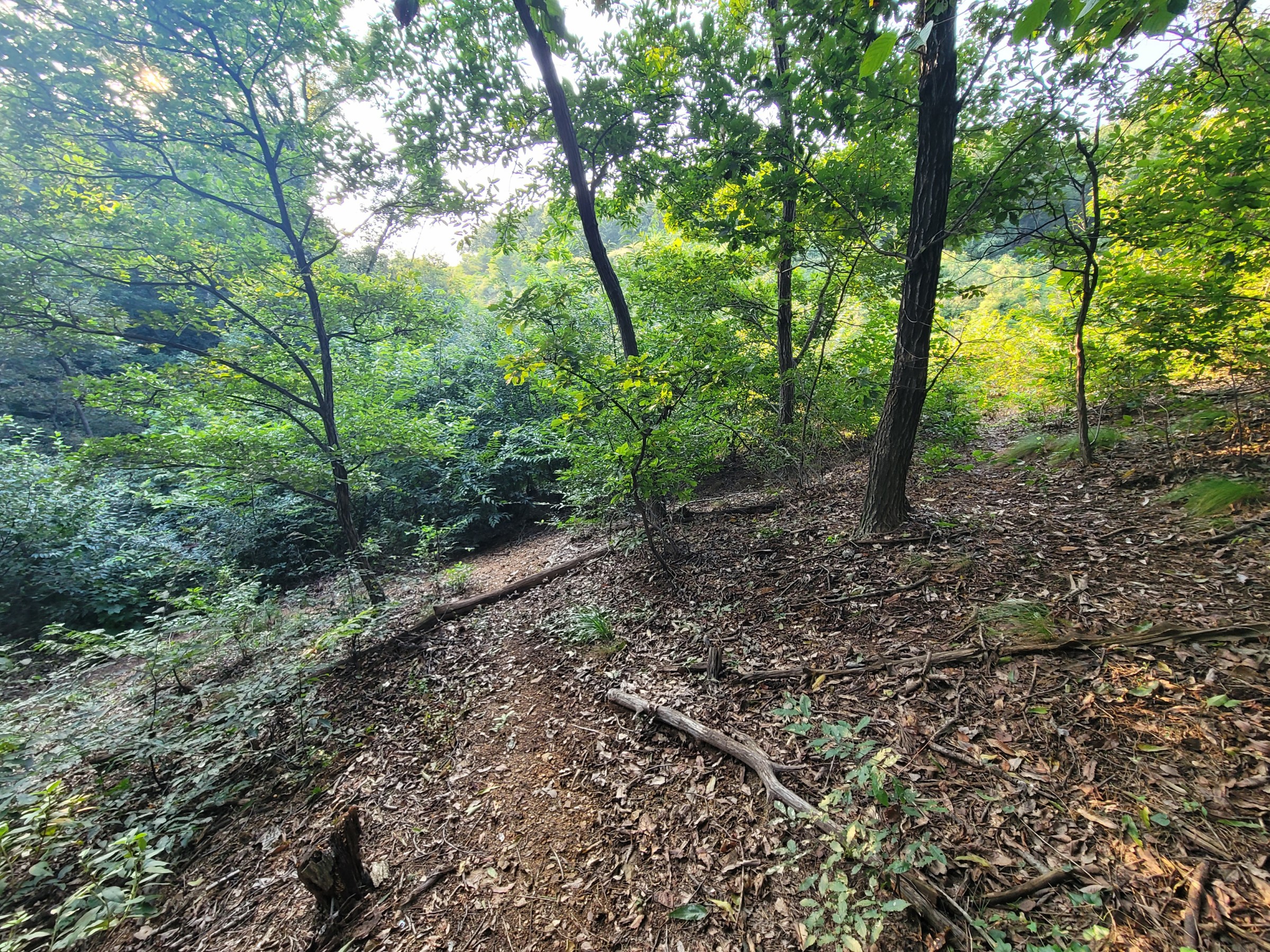 사진 1