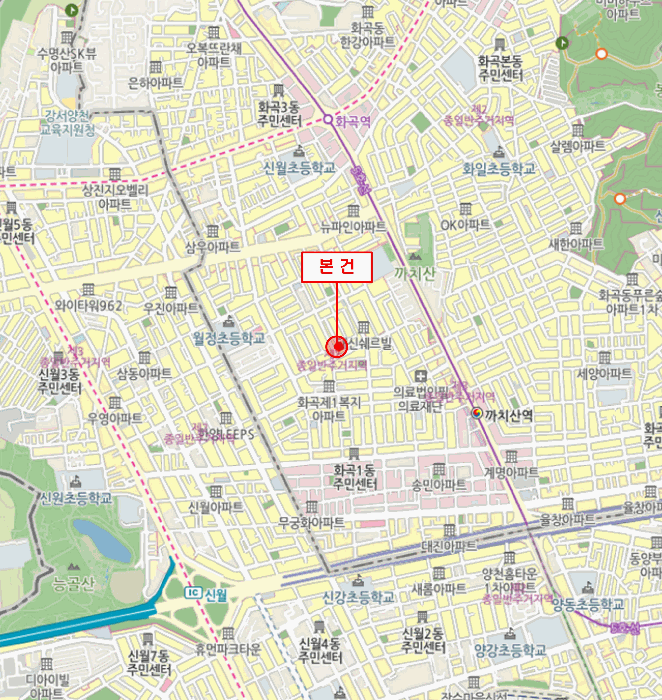 사진 7