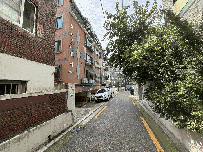 사진 9