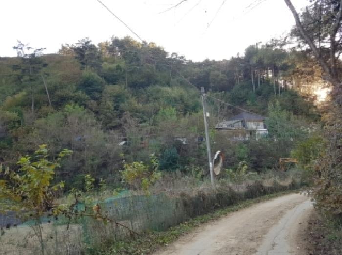 사진 2