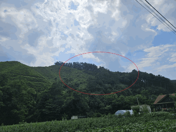 사진 10
