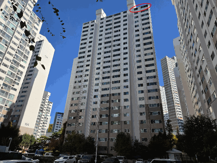 사진 12
