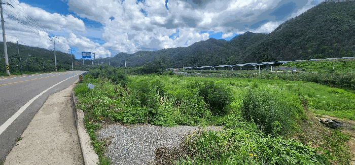 사진 5