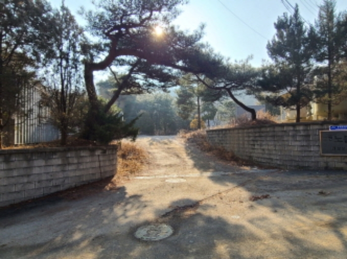 사진 10