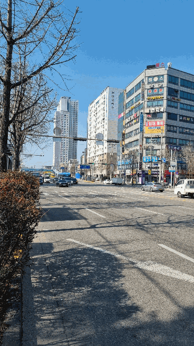 사진 8