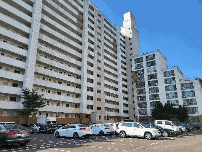 사진 13