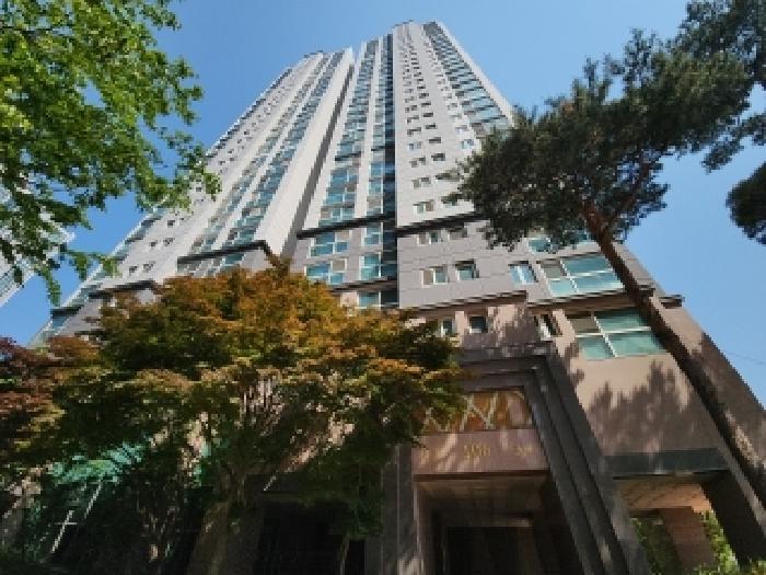 사진 9