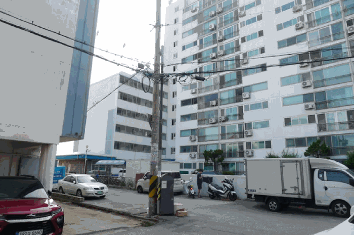 사진 8
