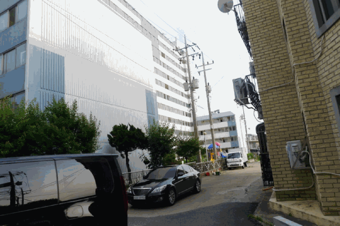 사진 9