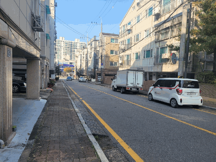 사진 15