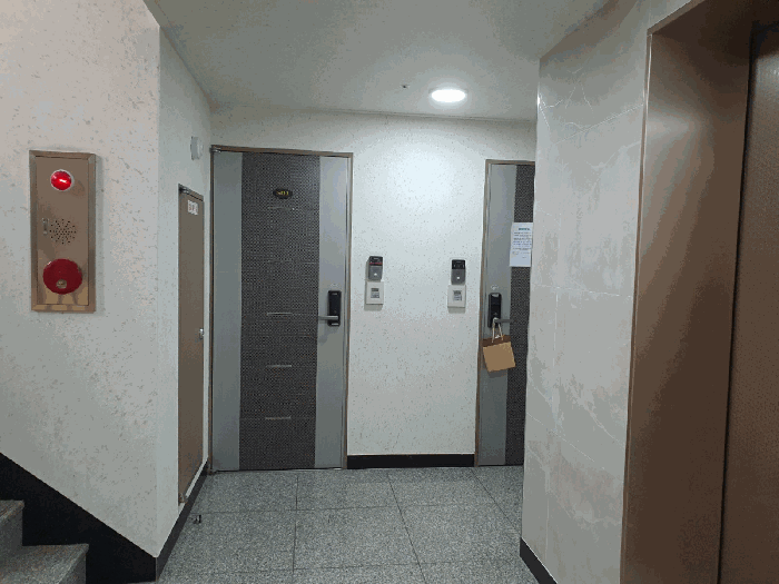사진 11