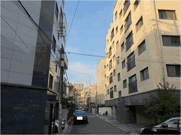 사진 9