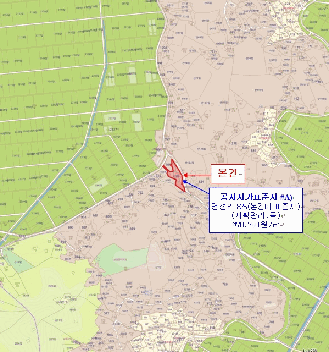 사진 16