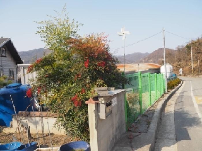 사진 10