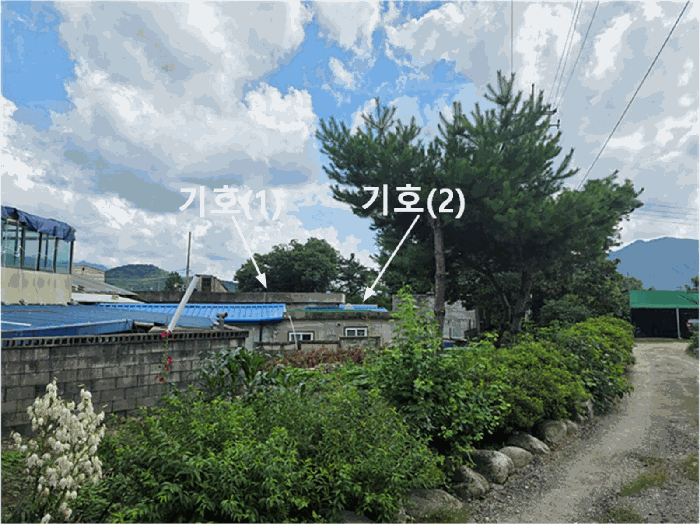 사진 2