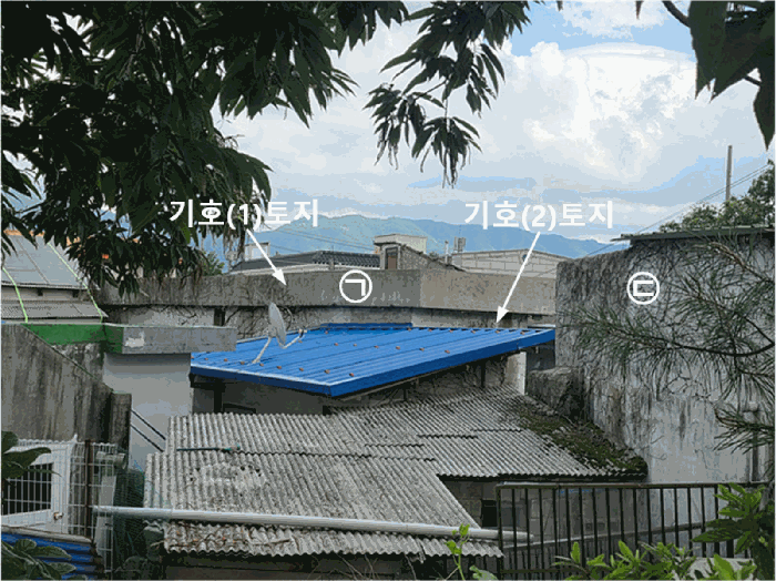 사진 5