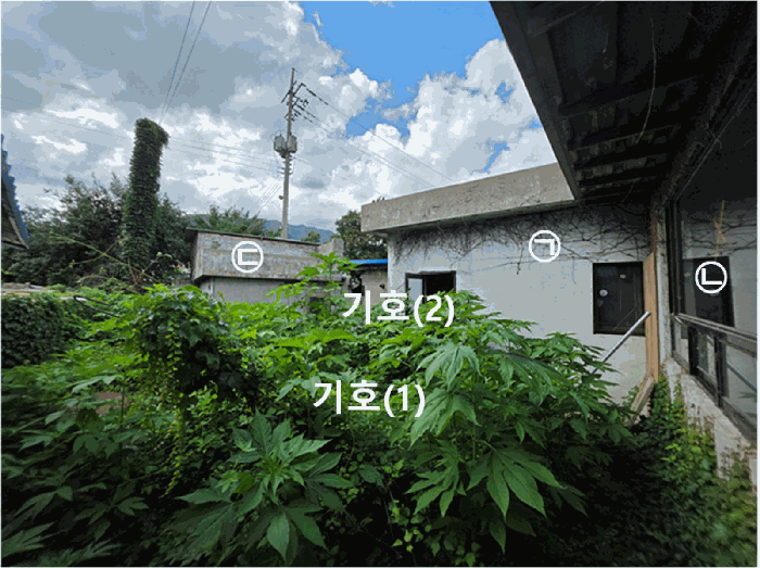 사진 7