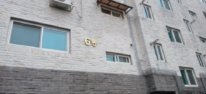 사진 10