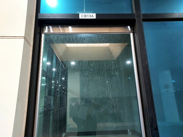 사진 11
