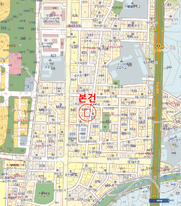 사진 10