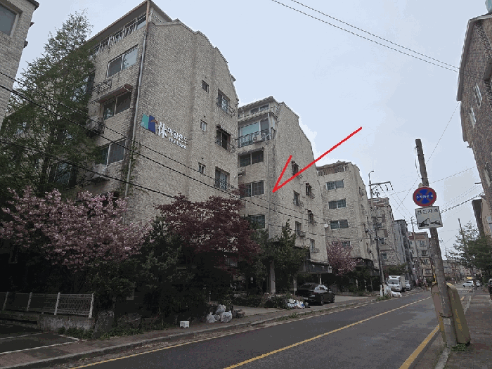 사진 11
