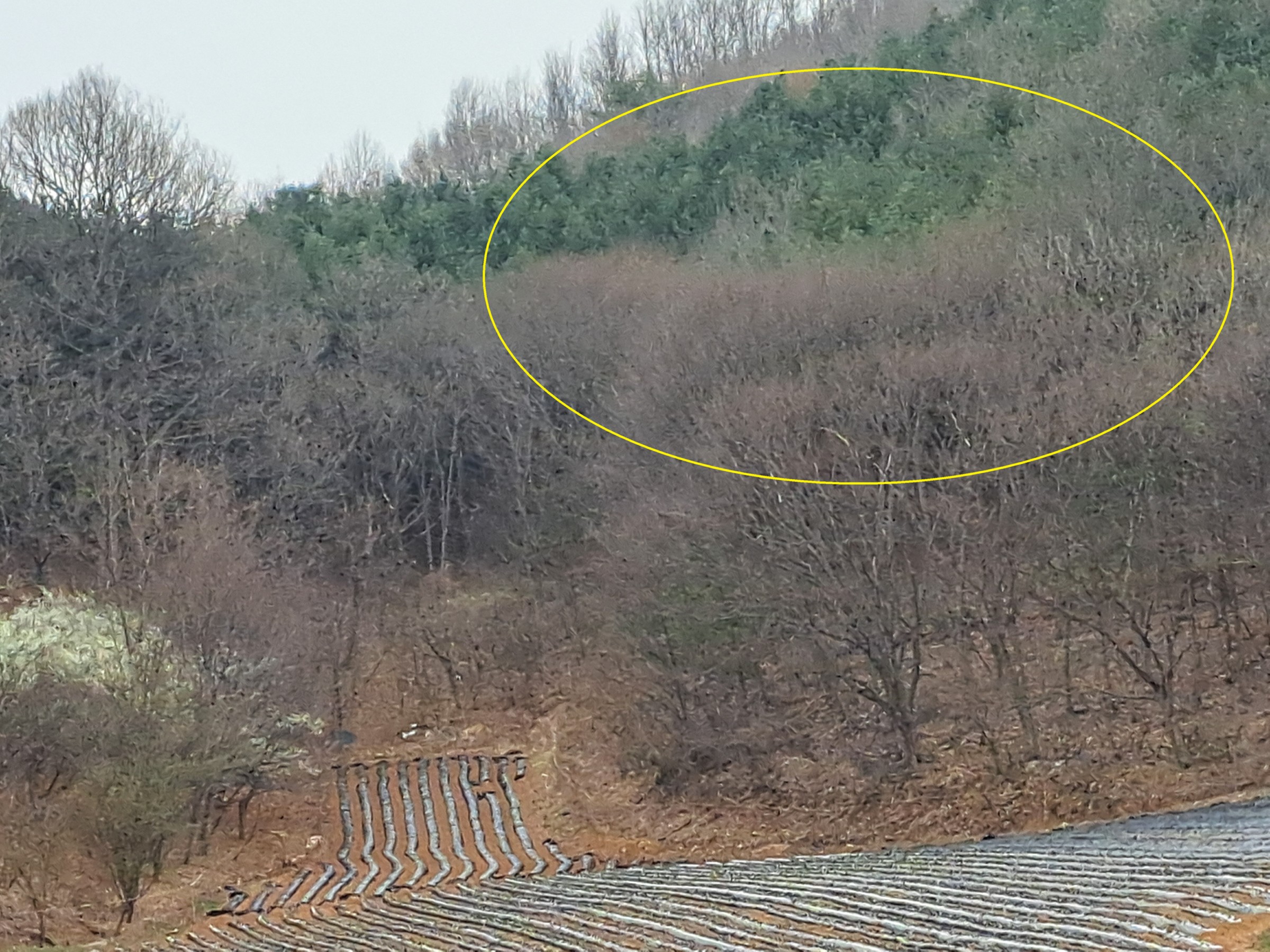 사진 1