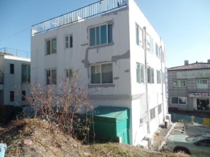 사진 15