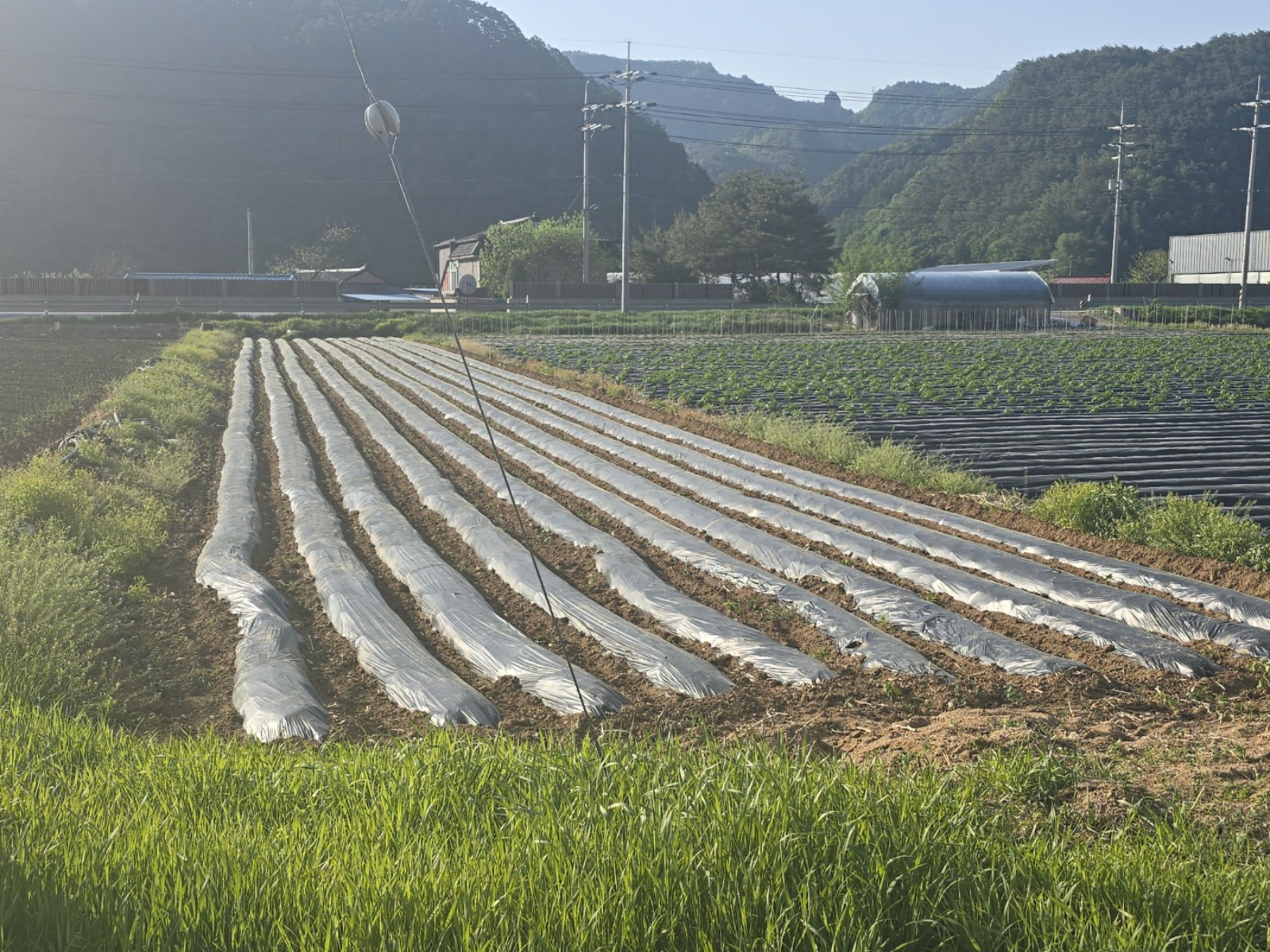 사진 1