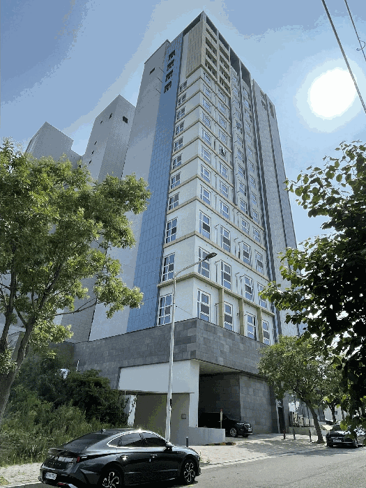 사진 7