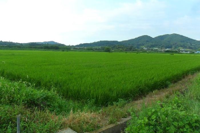 사진 5