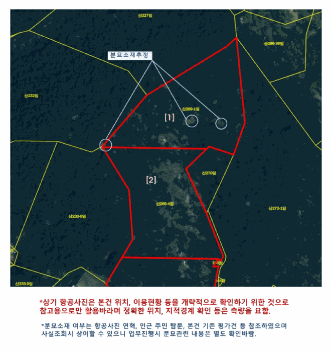사진 19